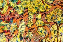 金屬熱處理——正火