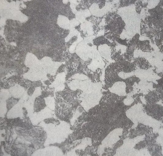 退火與正火的組織性能比較，加熱溫度引起粗化后的組織不一樣