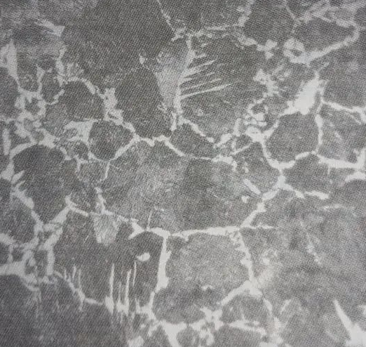 退火與正火的組織性能比較，加熱溫度引起粗化后的組織不一樣(圖2)